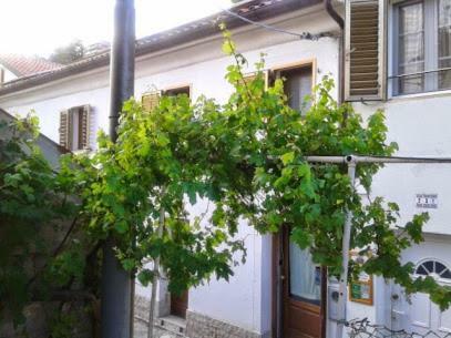 ترييستي B&B Al Ferdinandeo المظهر الخارجي الصورة